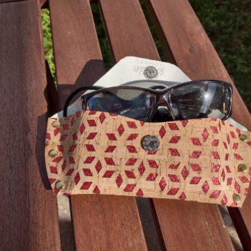 Eyeglasses case